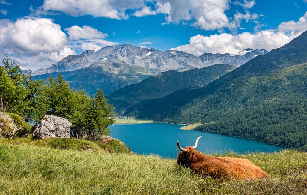 Schweiz Natur Berge See Hochlandvieh Was lieben Menschen an der Schweiz